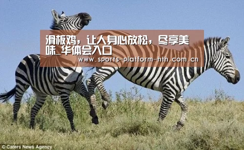 滑板鸡,让人身心放松,尽享美味_华体会入口